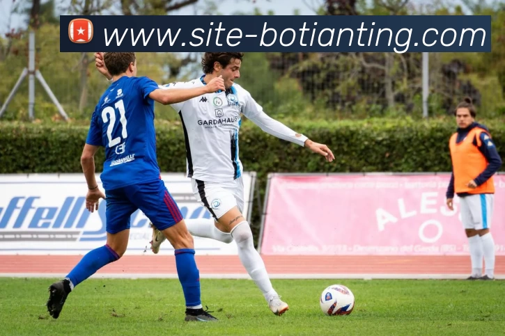 博天堂APP 封面图